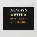 Recherche de berger australien cartes postales Chiens