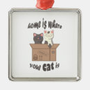 Recherche de chat drôle ornements Chats