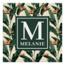 Recherche de oiseau du paradis posters Motif