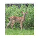 Zoek naar herten notitieblokken Gras