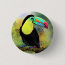 Recherche de oiseaux tropicaux badges Toucan