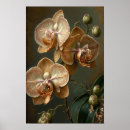 Recherche de orchidée blanche art Pour tous