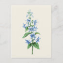 Zoek naar pierre joseph redoute briefkaarten Botanische illustratie