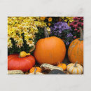 Zoek naar tentoonstelling briefkaarten Herfst
