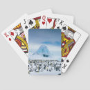 Recherche de pingouin jeux de cartes Nature
