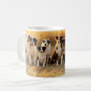 Recherche de berger classiques tasses Pour animaux