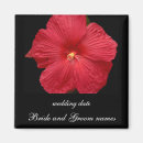 Recherche de ketmie rouge Fleurs tropicales