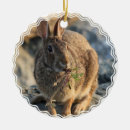 Zoek naar hazen ornamenten Bunny