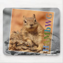 Recherche de écureuils tapis souris Mousepac