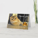 Recherche de cat remerciements cartes Cute
