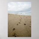Recherche de pawprints posters Chien