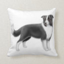 Recherche de border collie coussins Colleys de frontière
