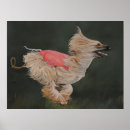 Zoek naar windhonden kunst Huisdier