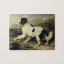 Zoek naar newfoundland puzzels Landseer