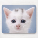 Recherche de yeux bleus tapis souris Horizontal