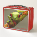 Zoek naar kikkers lunchboxen Dier