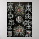 Recherche de modèle anatomique posters Vintage