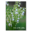 Recherche de muguet Fleurs de printemps