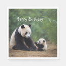 Recherche de pandas serviettes Anniversaire