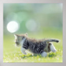 Recherche de déplacement posters Animaux domestiques