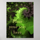 Recherche de trèfle irlandais posters Jour