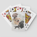 Recherche de poubelle jeux de cartes Chien