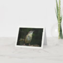 Recherche de roitelet vœux cartes Oiseaux