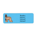 Recherche de afghan Dog