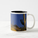 Recherche de pipe tasses Arizona