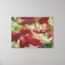 Recherche de chute impressions sur toile Nature