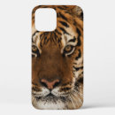 Recherche de tête de tigre iphone coques Faune