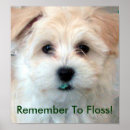 Recherche de soins dentaires posters Mignon