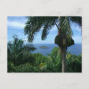 Recherche de paume cartes postales Arbres
