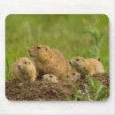 Recherche de cathy tapis souris Colorado