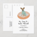 Recherche de races de chien invitations Amoureux des animaux