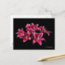 Recherche de orientales cartes postales Flore