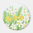 Recherche de narcisse magnets Jonquille