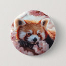 Zoek naar kersenbloesem buttons Natuur