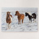 Zoek naar ijslandse paarden puzzels Winter