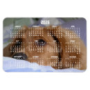 Recherche de photo calendar magnets 2026
