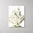 Zoek naar koraal zee canvas prints Koraalrif