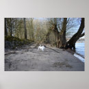 Zoek naar oude hond posters Doodsbang