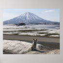 Zoek naar shiba inu puppy posters Doge