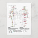 Recherche de corps humain cartes postales Diagramme