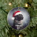 Recherche de black lab ornements Chiot