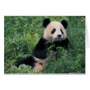 Recherche de sichuan Keren su