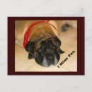 Recherche de chien triste cartes postales Chiens