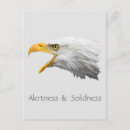 Recherche de alerte cartes postales Animal