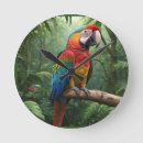 Recherche de parrots horloges Perroquet