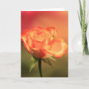 Zoek naar roze achtergrond kaarten Oranje